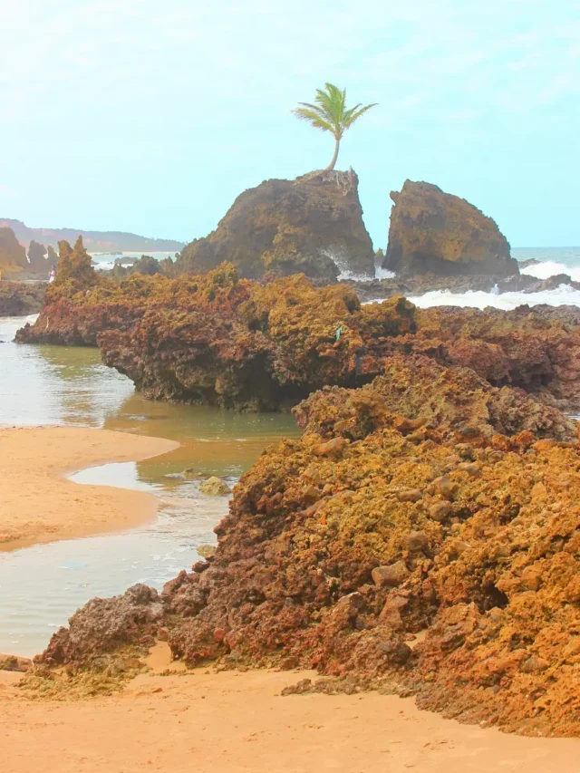 Praia de Tambaba destino com belas paisagens