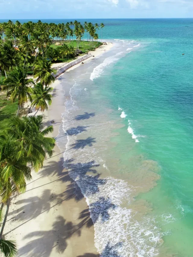 linda Praia dos Carneiros das águas cristalinas vem conhecer